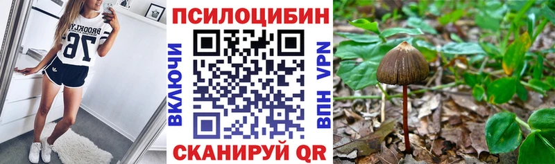 Галлюциногенные грибы Magic Shrooms  OMG ССЫЛКА  Кохма 