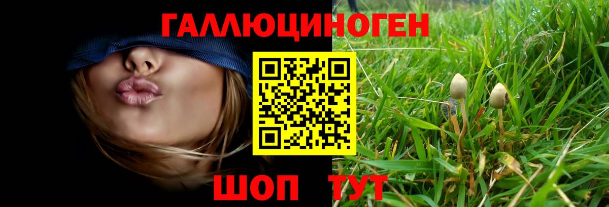 Галлюциногенные грибы Psilocybine cubensis  Вход с VPN  Кохма 