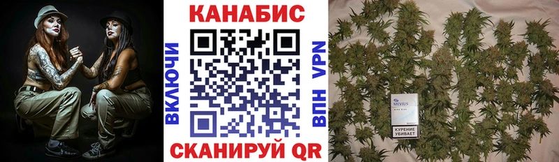 Бошки марихуана конопля  Кохма 